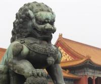 Chinese Lion