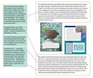 Year 5 Plight of the sea turtle