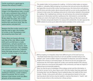 Year 7 Estuary Health Check