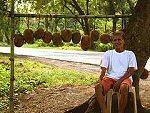 marang fruit