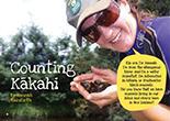 Counting Kākahi cover.