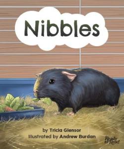 Nibbles